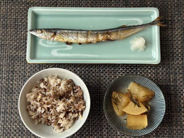 神経修復の分子栄養学｜末梢神経の再生を加速させるビタミンB群の役割